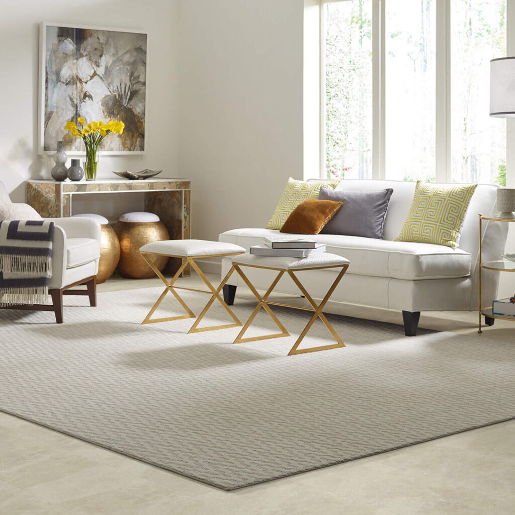 Area Rug | Valley Floor Covering Inc
